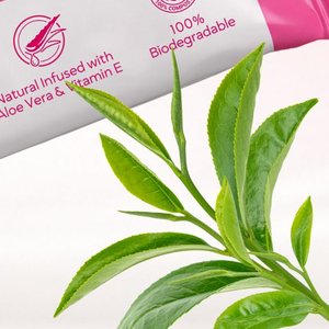 Tea Tree Oil Extract
