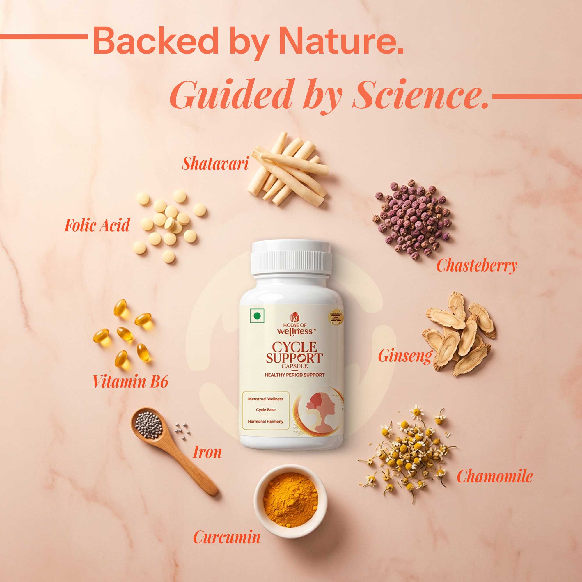 Feminine Cycle Support Capsules | 60 Capsules