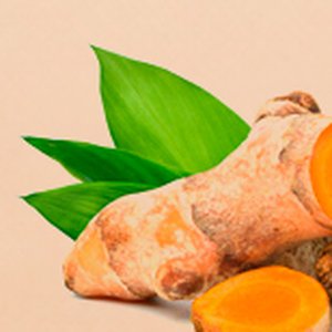 Curcuma Longa