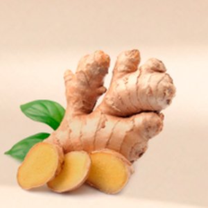 Ginger Extract