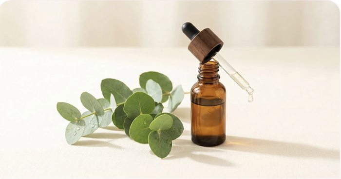 Eucalyptus Oil