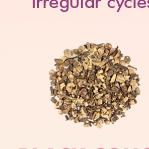 Black Cohosh Root Extract