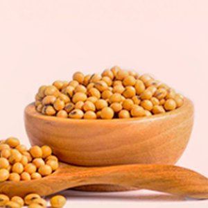 Soybean Isoflavones 40%