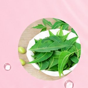 Neem Flower Extract