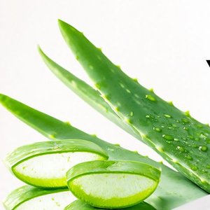 Aloe Vera Extract